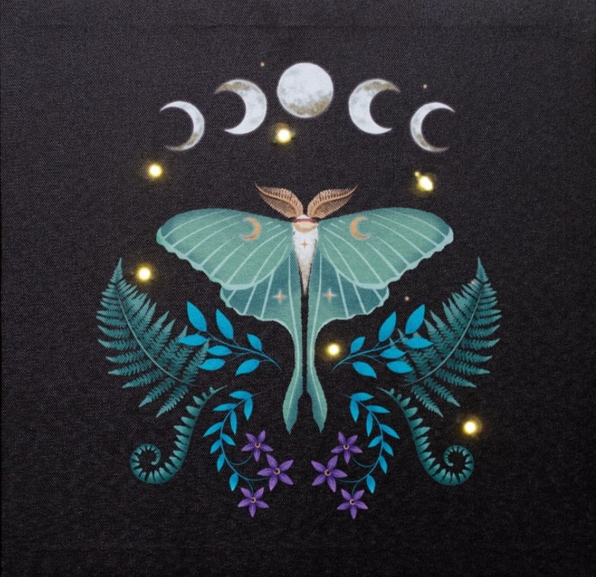Luna Moth Light Up Canvas 30x30cm