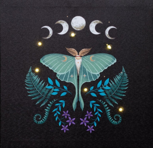Luna Moth Light Up Canvas 30x30cm